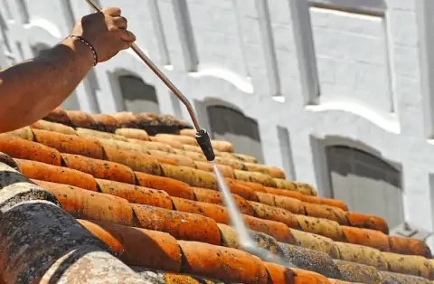 Nettoyage de toitures - Saint-Fiel